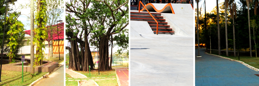 Mosaico com quatro fotografias sendo a primeira de árvores com os troncos cobertos por folhas em tom de verde claro, a segunda de árvores com troncos largos e uma quadra ao fundo, a terceira da pista de skate com rampas e degraus em tons de branco e laranja, e a quarta de árvores altas com troncos finos e folhas em tons de verde e amarelo.